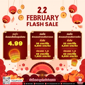 2.2 February Flash Sale