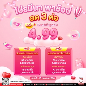 โปรมีนา พาช้อป ลด 3 ต่อ